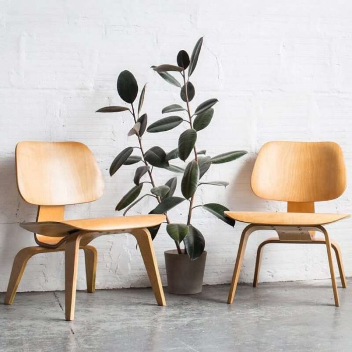 MP LCW - Classic Lounge Chair | Reading Chair - Image 13